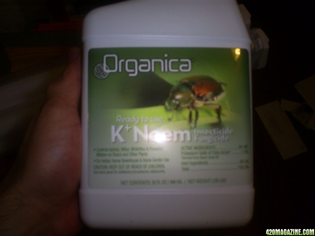 rsz_kneem_oil_for_pests_and_fungus.jpg