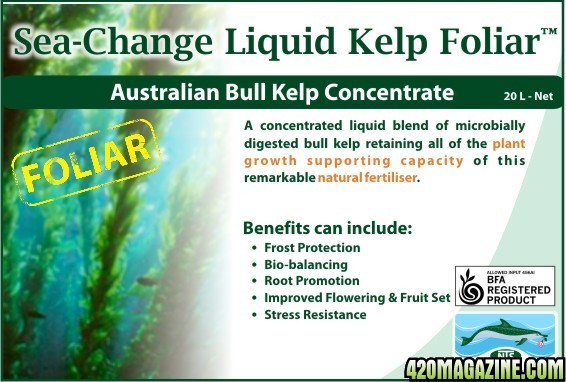 seachange-kelp-foliar.jpg