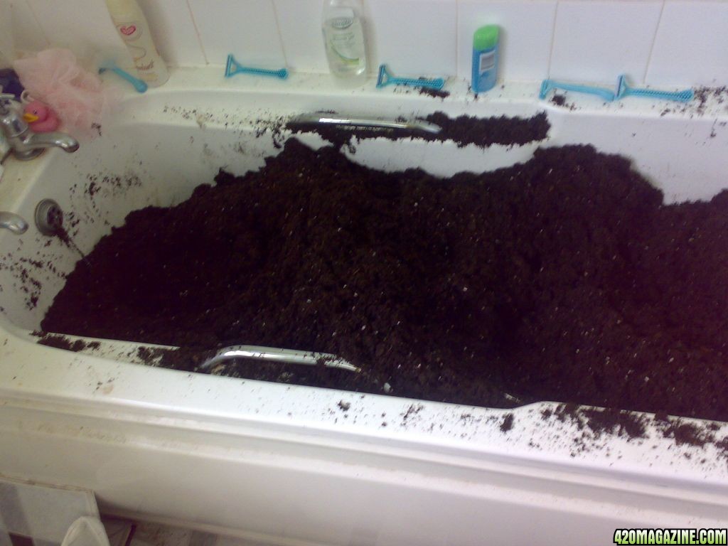soil_bath.jpg