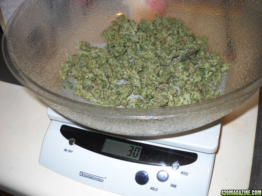 Марихуана 6 граммов в каком штате америки разрешили марихуану