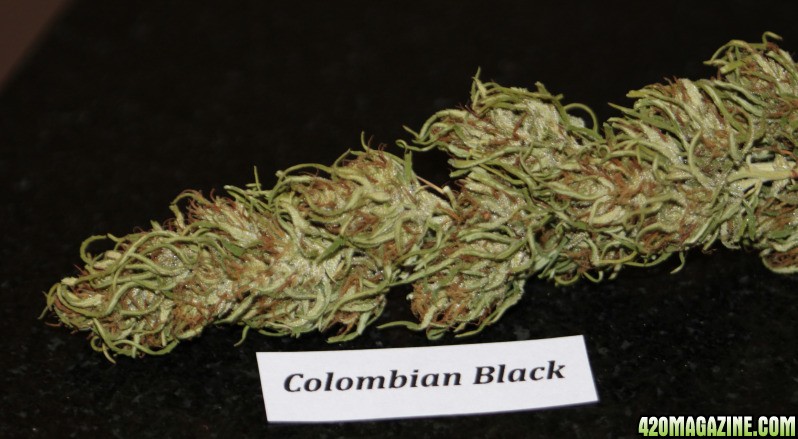 colombian_black_modern.jpg