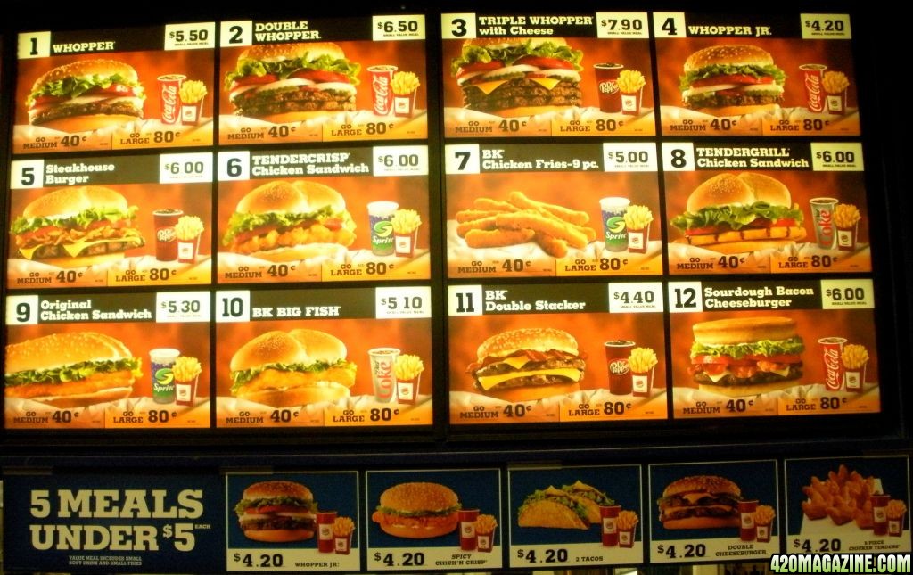 Burger-King-01-2009.jpg