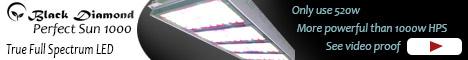 banner Black Diamond LED