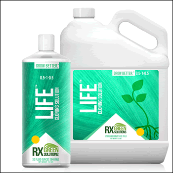 RX Green Solutions