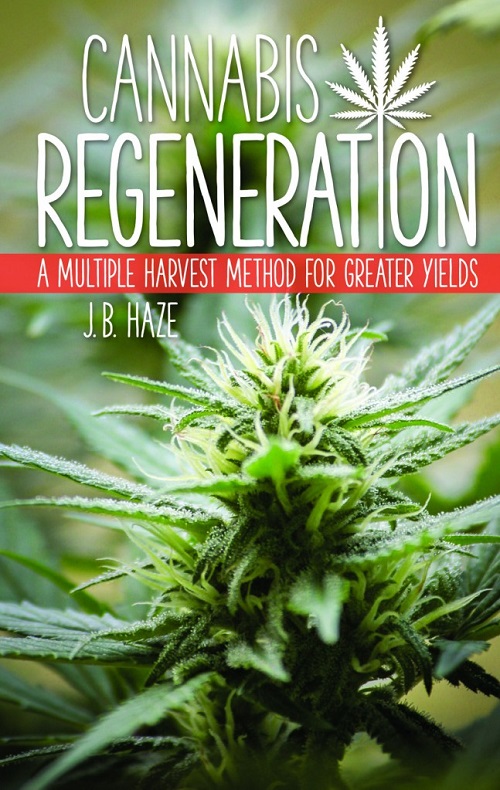 cannabis_regeneration_cover1.jpg