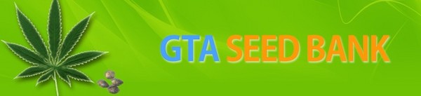 banner GTA Seed Bank