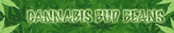 banner Cannabis Bud Beans
