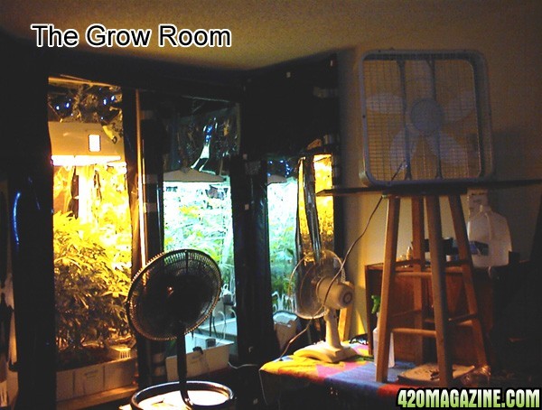 growroom3.jpg
