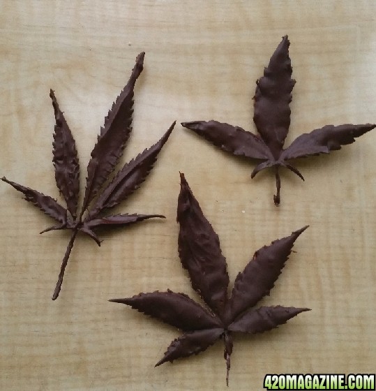 chocolate_dipped_cannabis_leaves.jpg