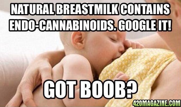 Cannabinoids_in_breast_milk1.jpg