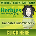 herbies_125x125 Herbies Cannabis Seeds