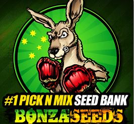 Bonza_Seeds Bonza Seeds