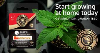 Growers Choice Seeds ad-9-340x180-red-420mag1