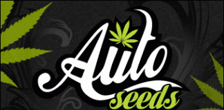 72319_340x180 Auto Seeds