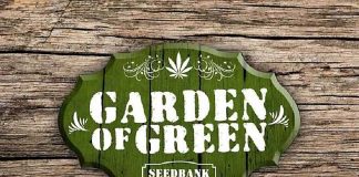 Garden-of-Green-seeds-logo-optimized garden of green