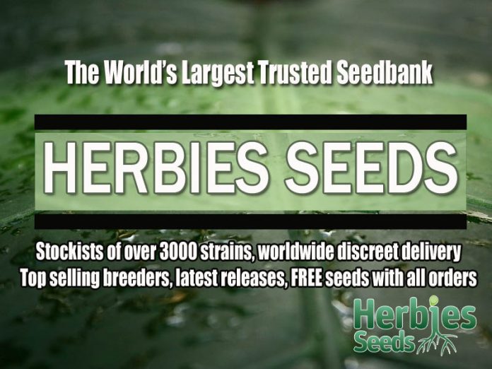420under100 Herbies