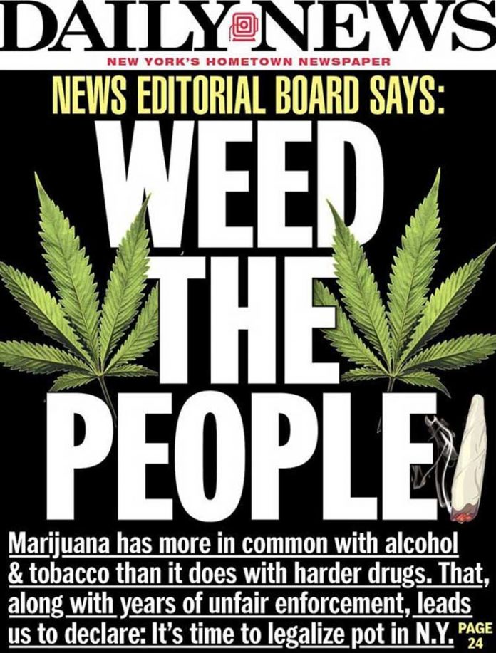 marijuana news paper