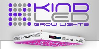 800x600_KIND_420 - Copy Kind LED