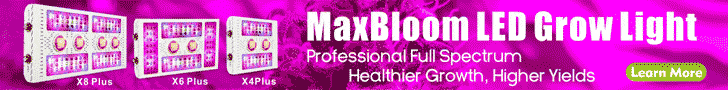 banner MaxBloom