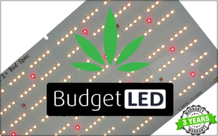 Budget-LED-Large-Banner1 BudgetLED