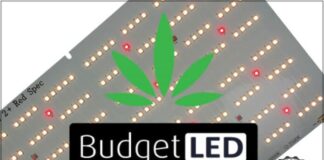 Budget-LED-Large-Banner1-696x435 Budgetled