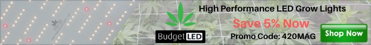 banner budget LED