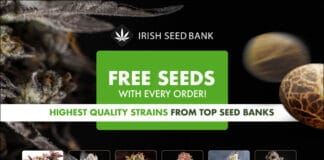 420 Magazine Irish Seed Bank Irish Seed Bank