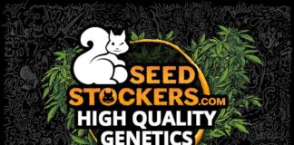 Seedstockers Home Page SeedStockers