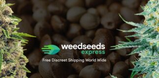 WSE Home Page WeedSeedsExpress