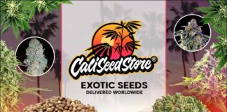 Cali Seed Store Home Page CaliSeedStore