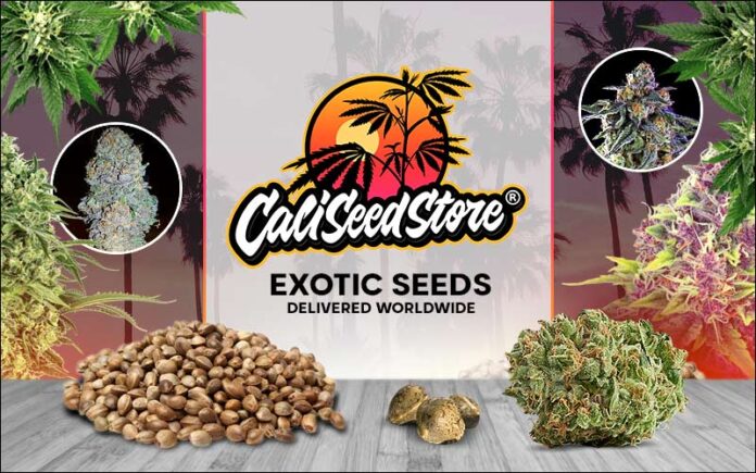 Cali Seed Store Home Page CaliSeedStore