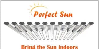 Perfect Sun Home Page Perfect Sun