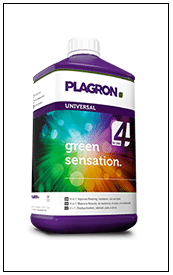 green sensation Plagron 
