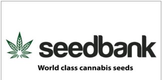 420 Magazine SeedBank