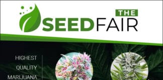 420 Magazine The Seed Fair The Seed Fair