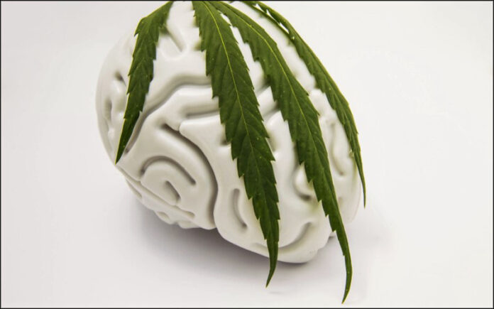 Cannabis May Ease Depression and Anxiety