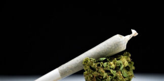 Cannabis joint Recreational use of pot to be recriminalised