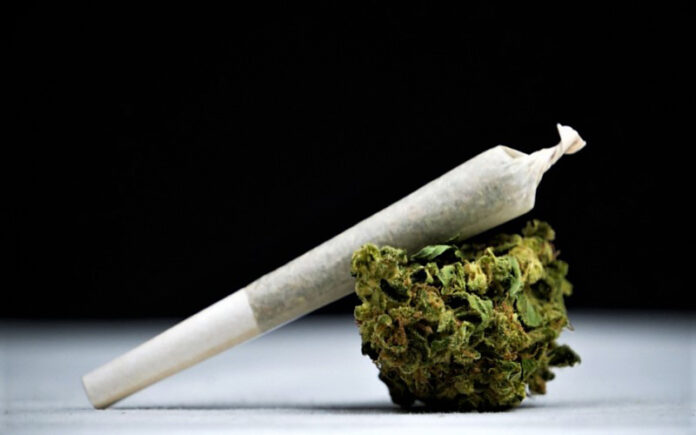 Cannabis joint Recreational use of pot to be recriminalised