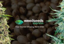 Weed Seeds Express Review
