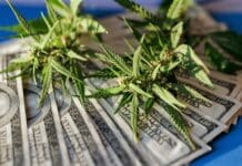 Cannabis and cash Inflation And Marijuana