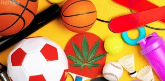 Cannabis And Sports