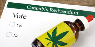Cannabis referendum Oklahoma Legalization