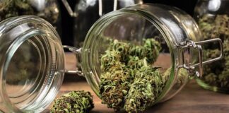 Jar of cannabis medical cannabis