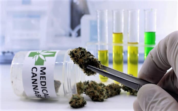 Testing cannabis Arkansas Marijuana Companies