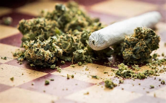 Cannabis and joint recreational marijuana