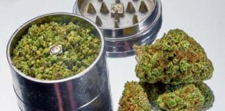 Cannabis grinder Amazon