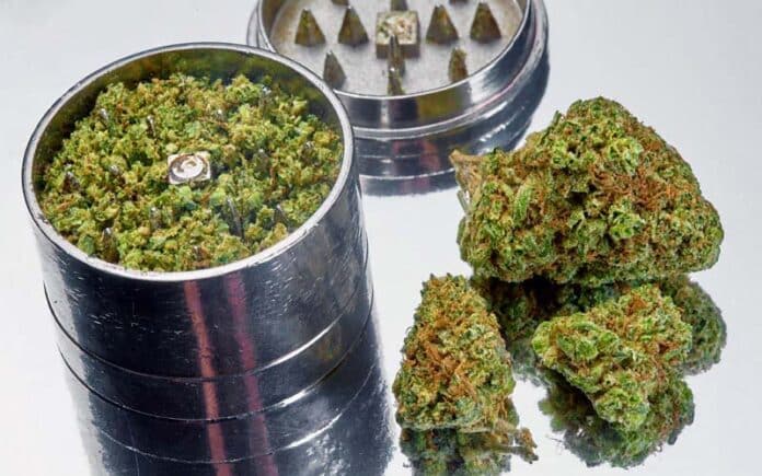 Cannabis grinder Amazon