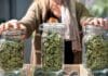 Jars of cannabis alleged violations