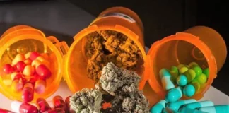 MMJ and pills Medical cannabis could