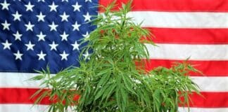 US flag cannabis loosen marijuana laws
